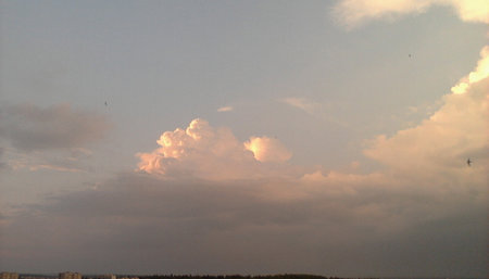16135741_97af3f28.jpg